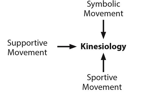 1.1: The History of Kinesiology .